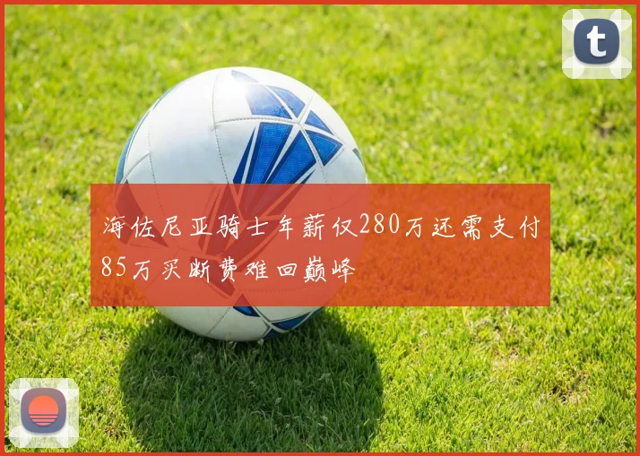 海佐尼亚骑士年薪仅280万还需支付85万买断费难回巅峰
